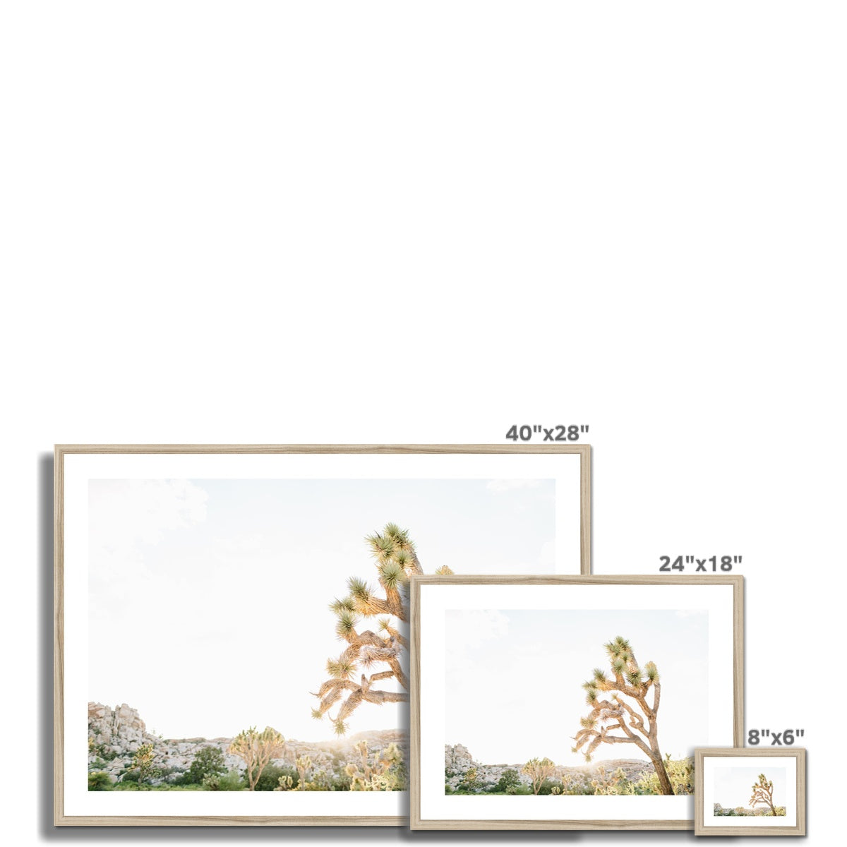 JOSHUA TREE V Framed & Mounted Print