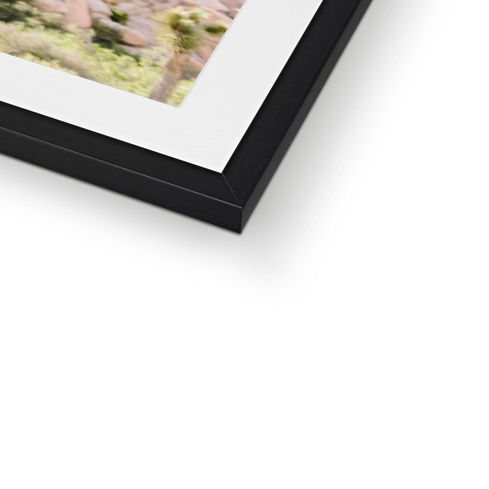 JOSHUA TREE VI Framed & Mounted Print