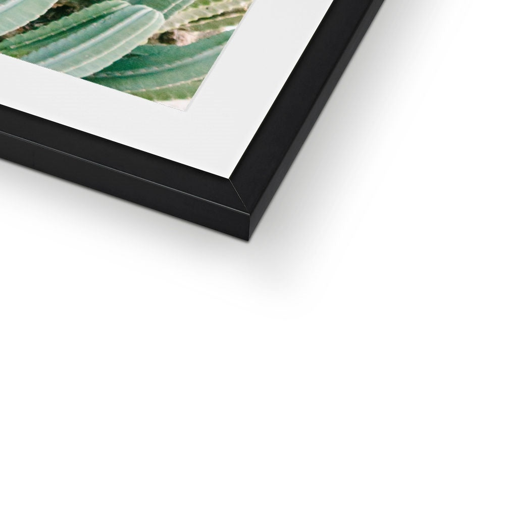 CACTUS IV Framed & Mounted Print