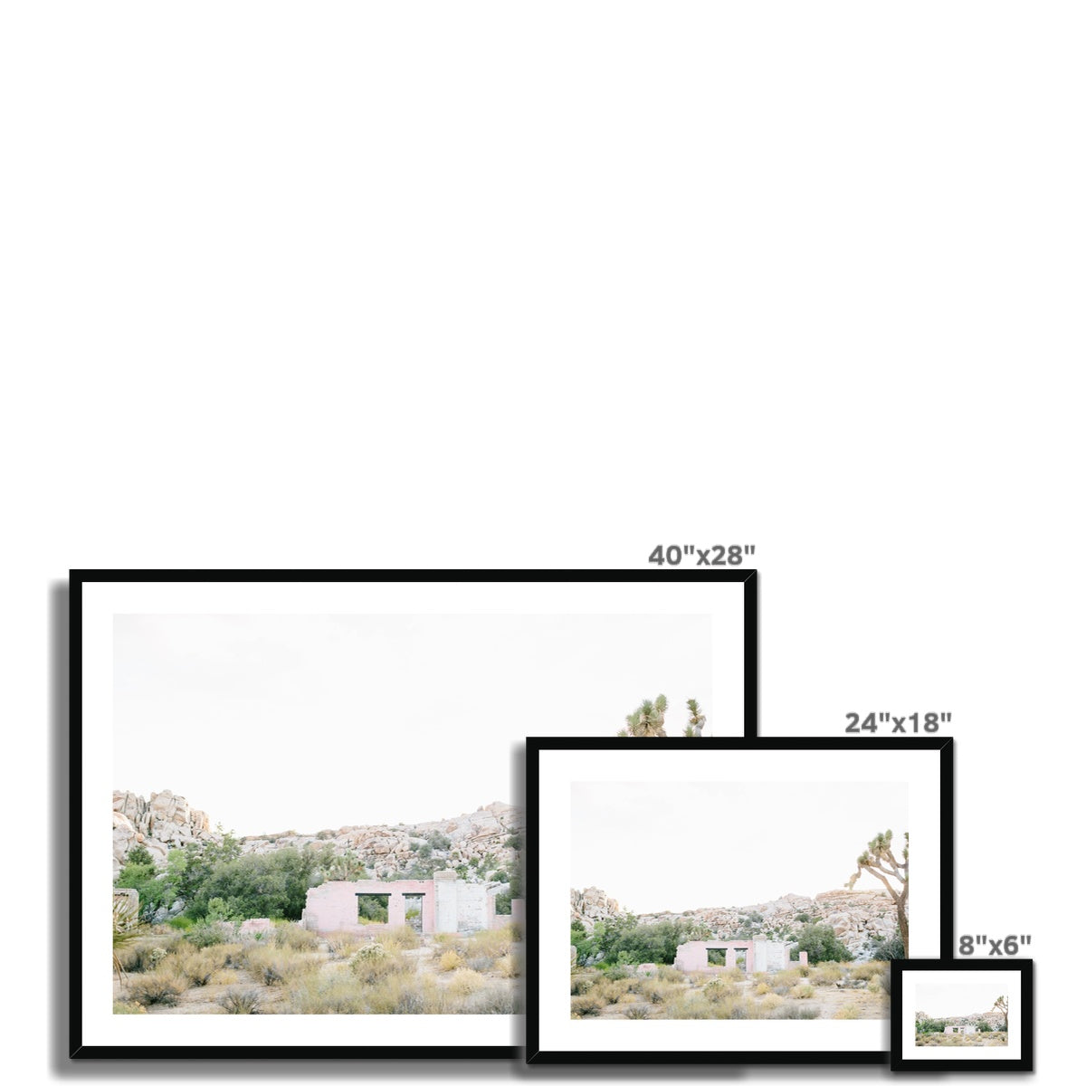 JOSHUA TREE RUINS Framed & Mounted Print