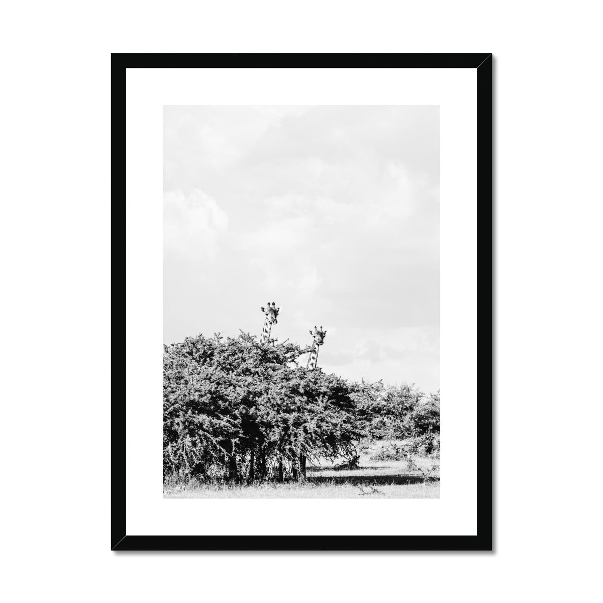 GIRAFFE SIGHTING BW Framed & Mounted Print
