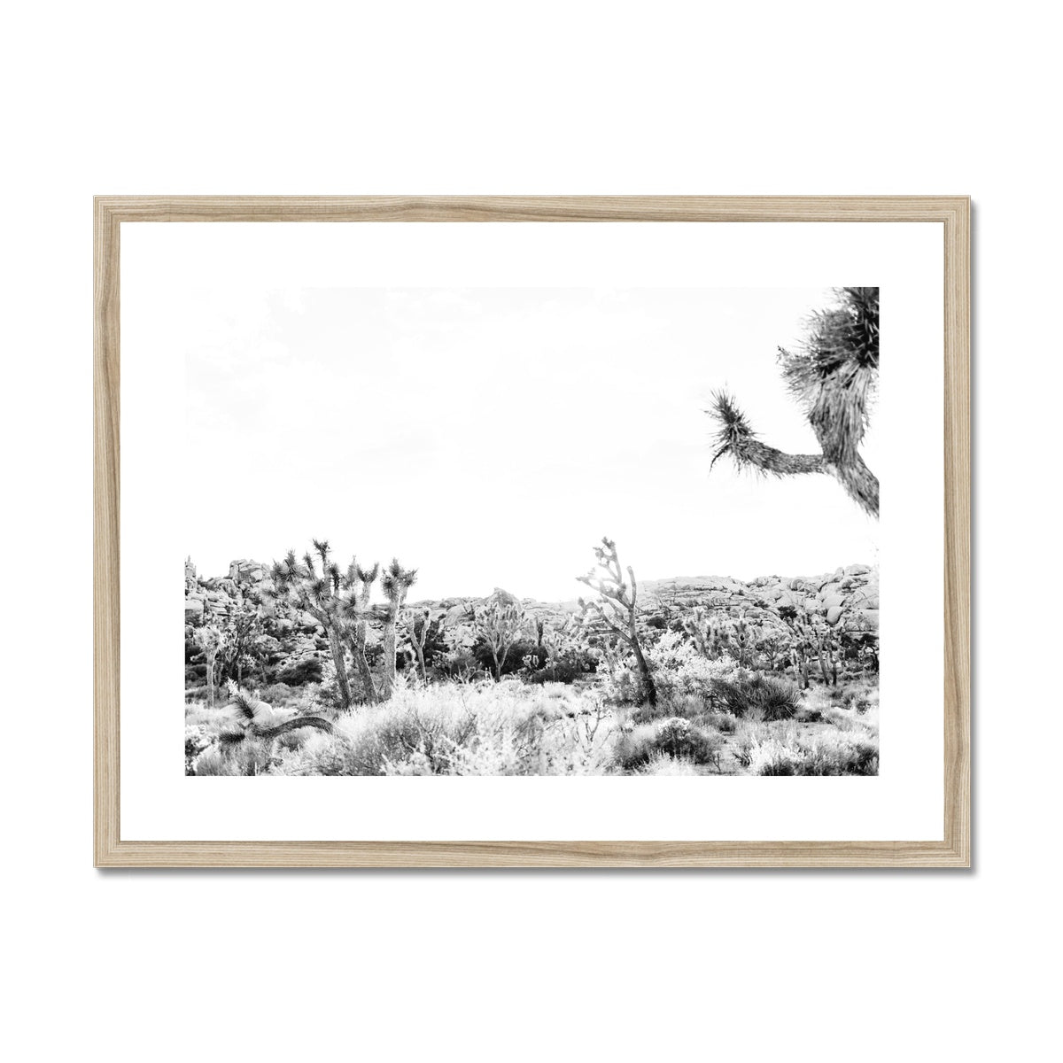 JOSHUA TREE II BW Framed & Mounted Print