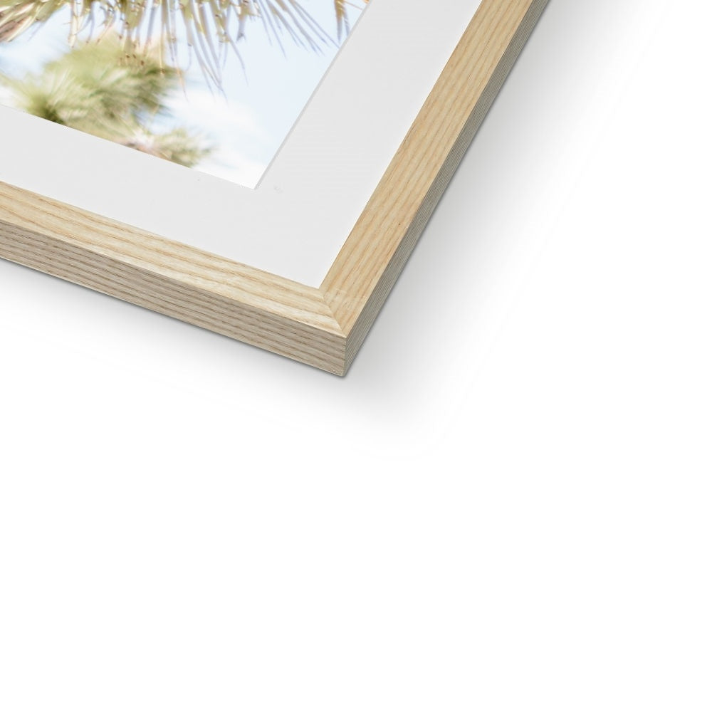 JOSHUA TREE UP CLOSE Framed & Mounted Print