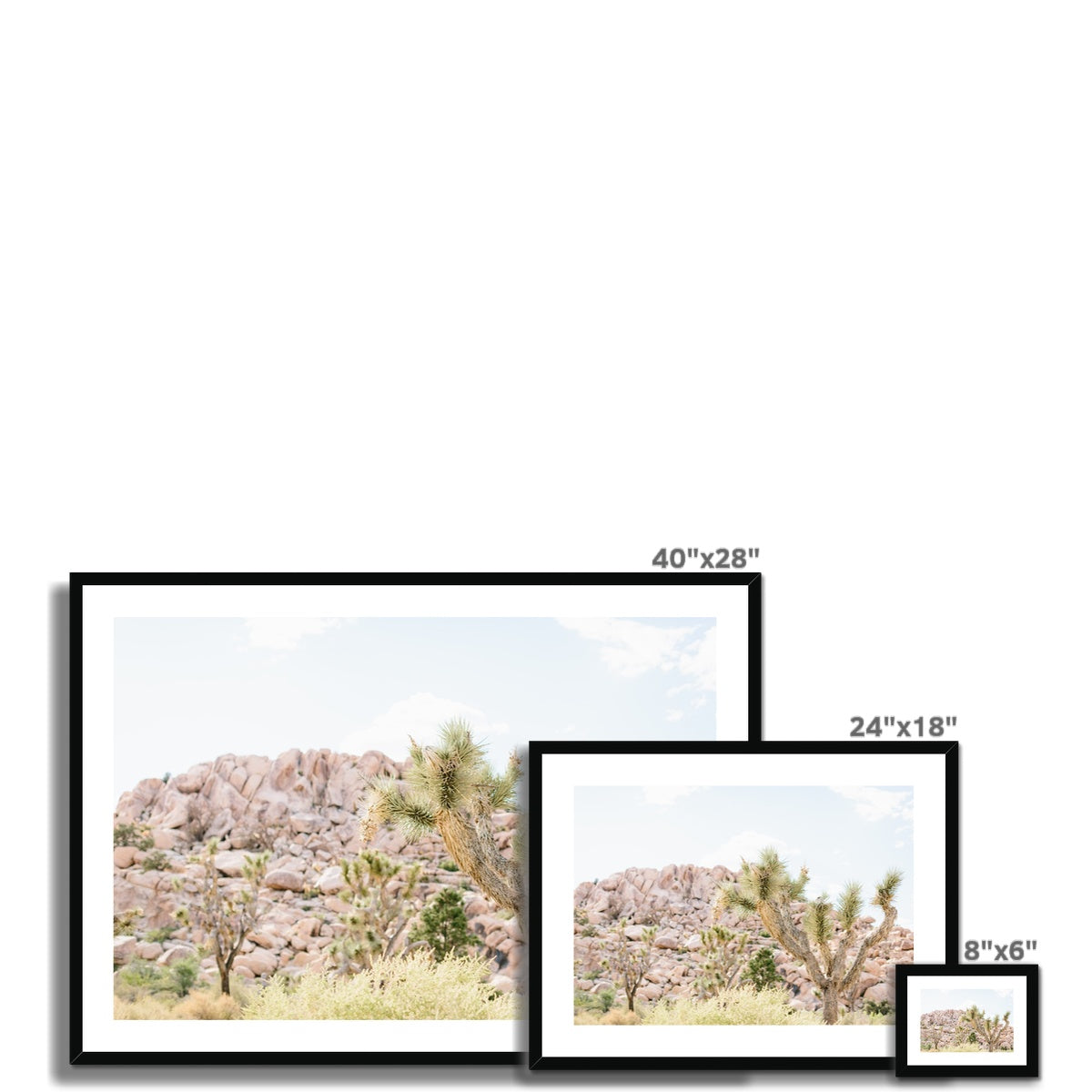 JOSHUA TREE VI Framed & Mounted Print