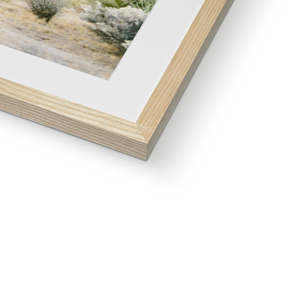 JOSHUA TREE RUINS Framed & Mounted Print