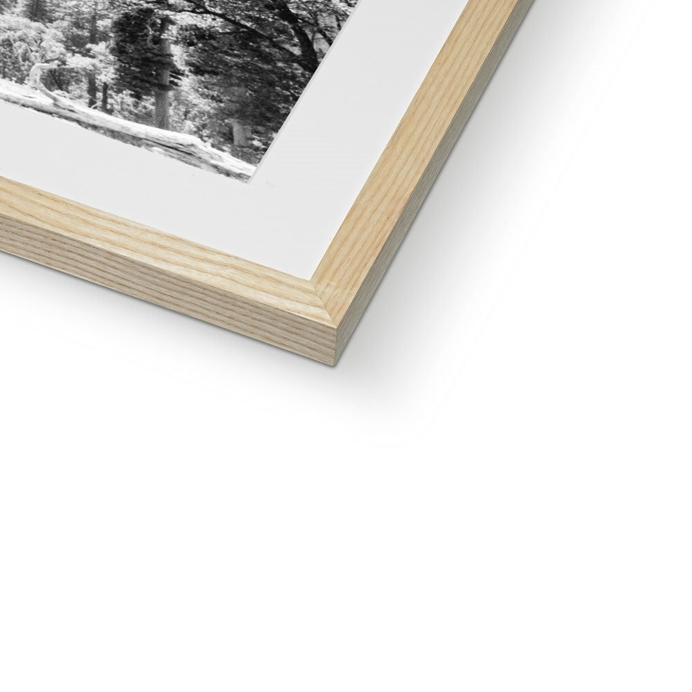 YOSEMITE BW Framed & Mounted Print