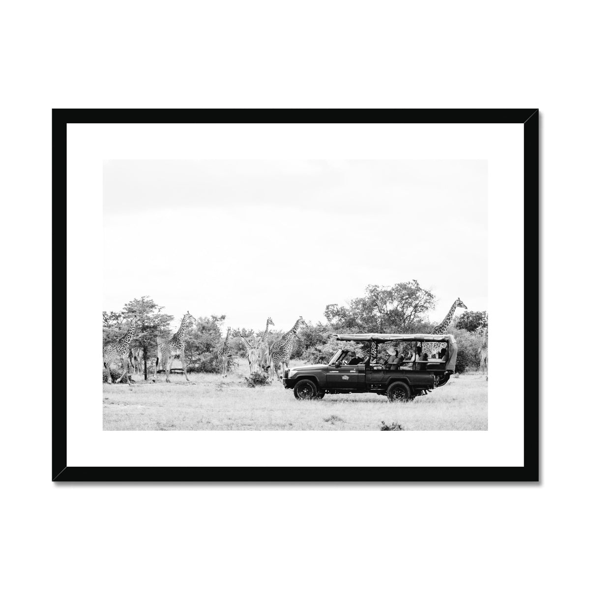GIRAFFE SAFARI BW Framed & Mounted Print