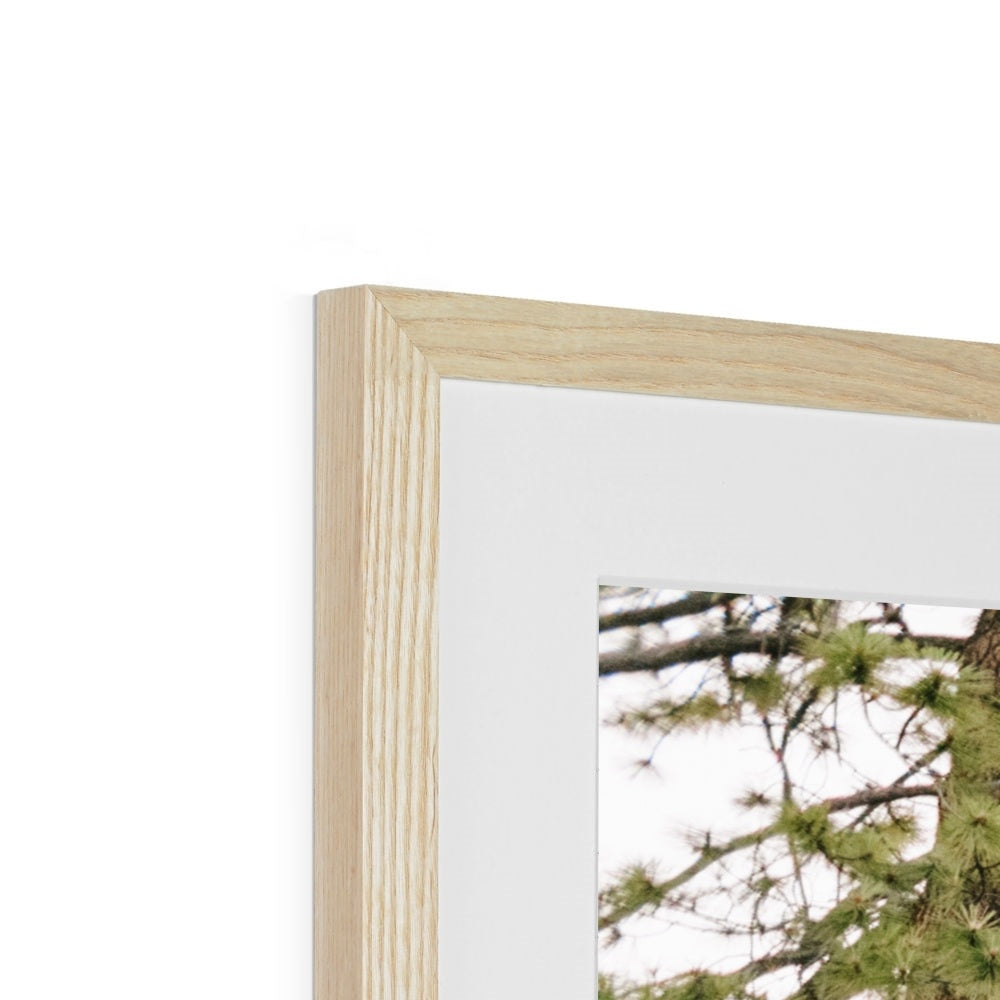 HALF DOME Framed & Mounted Print