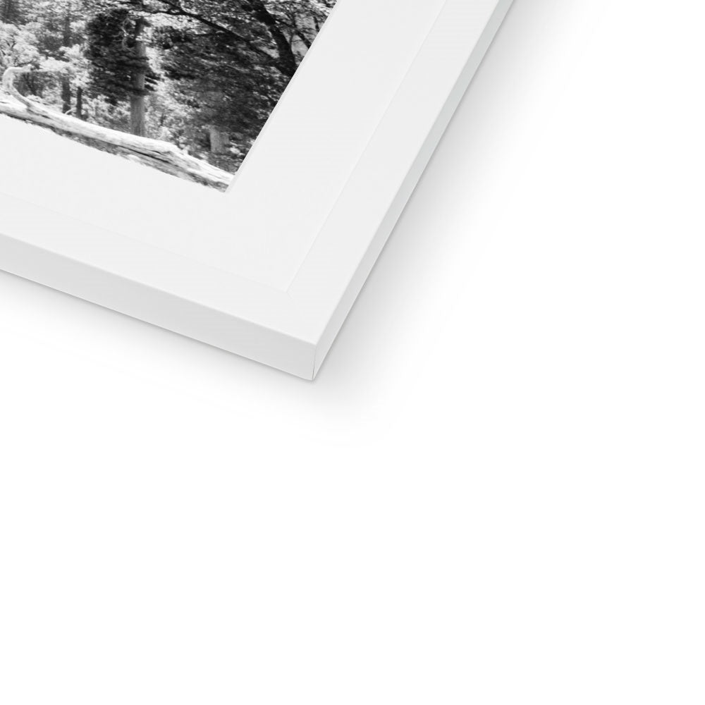 YOSEMITE BW Framed & Mounted Print