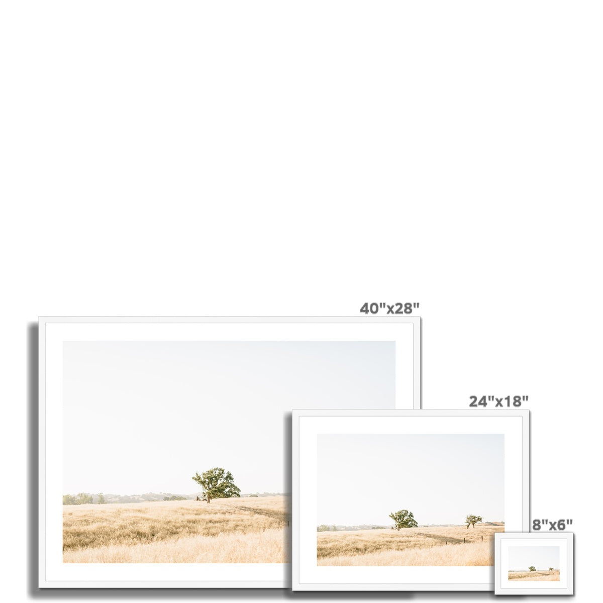 CALI FIELD Framed & Mounted Print