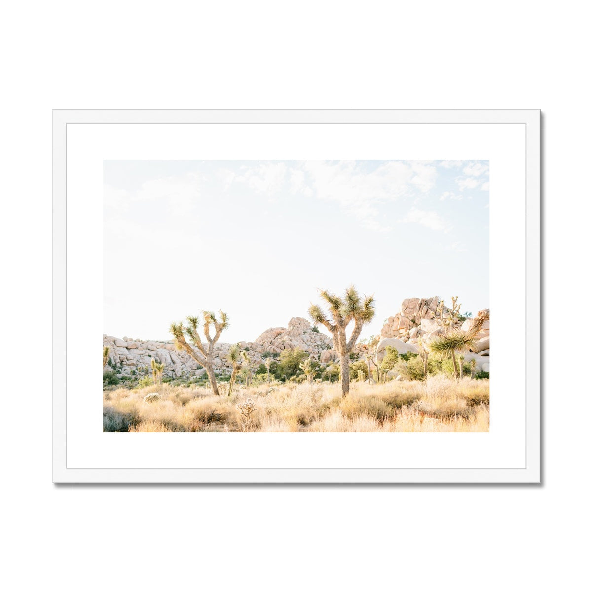 JOSHUA TREE VIII Framed & Mounted Print