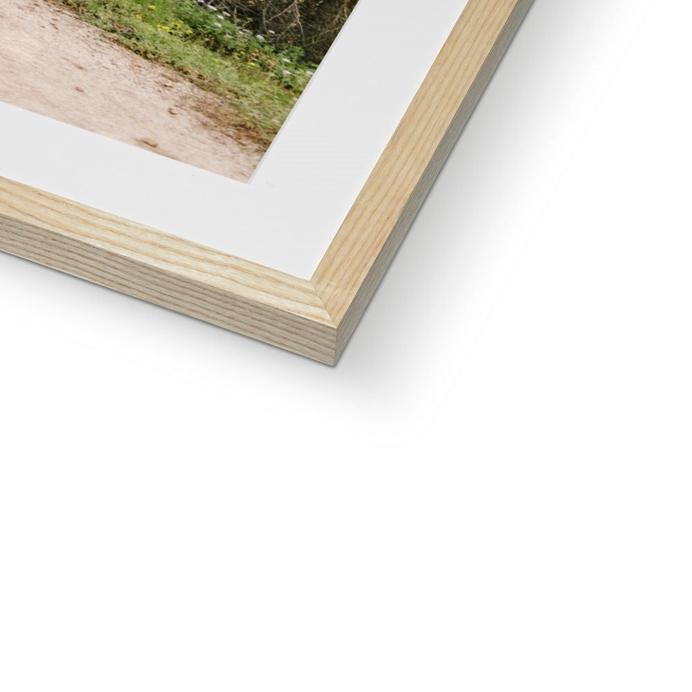 YOSEMITE FOREST Framed & Mounted Print