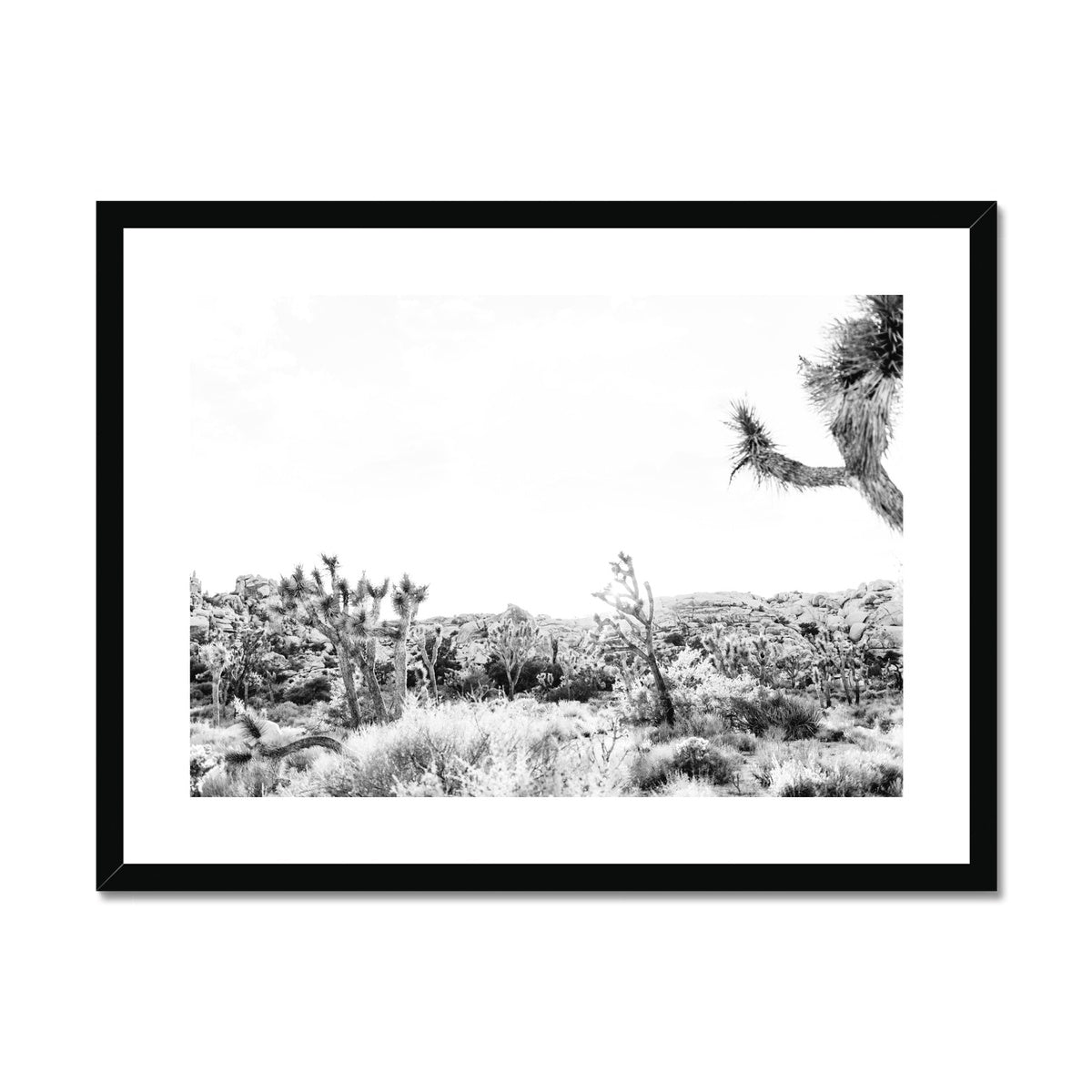 JOSHUA TREE II BW Framed & Mounted Print