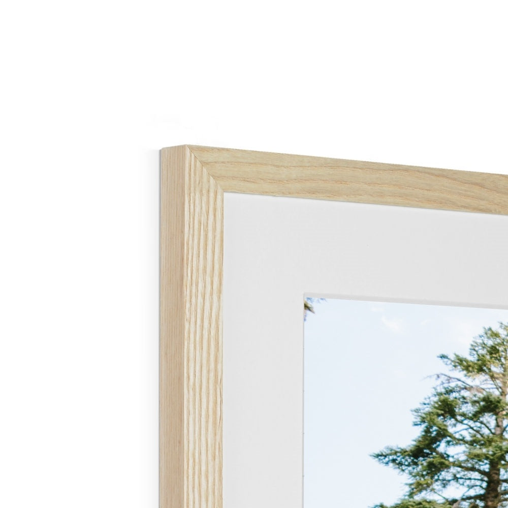 YOSEMITE FOREST Framed & Mounted Print