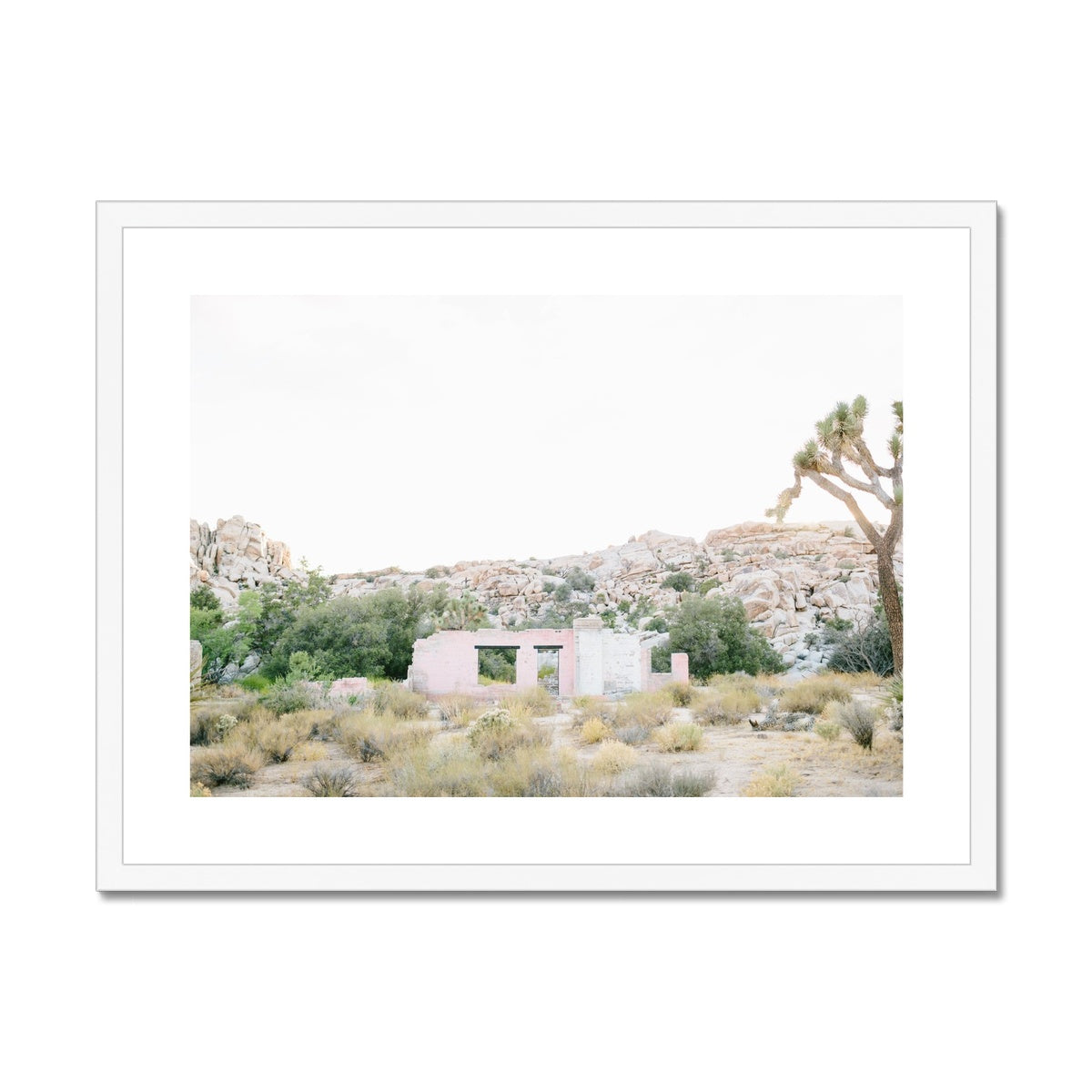JOSHUA TREE RUINS Framed & Mounted Print