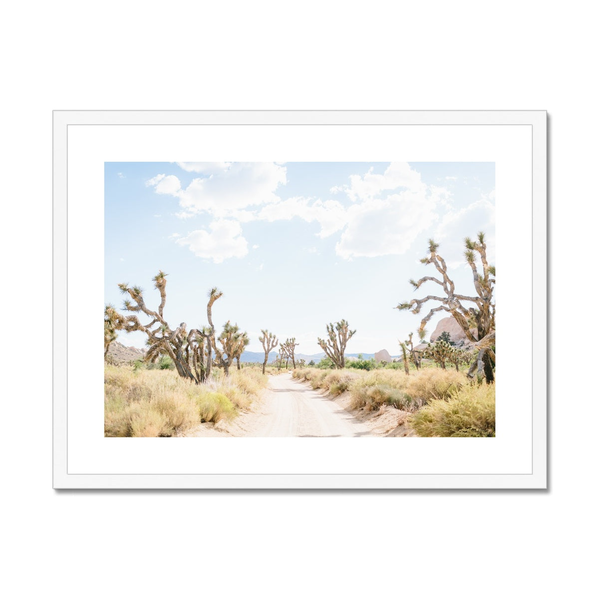 JOSHUA TREE ROAD Framed & Mounted Print