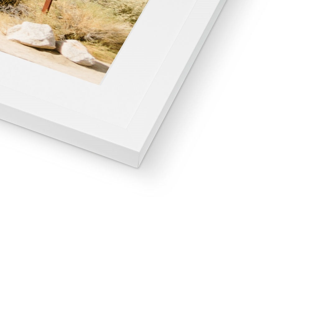 JOSHUA TREE III Framed & Mounted Print