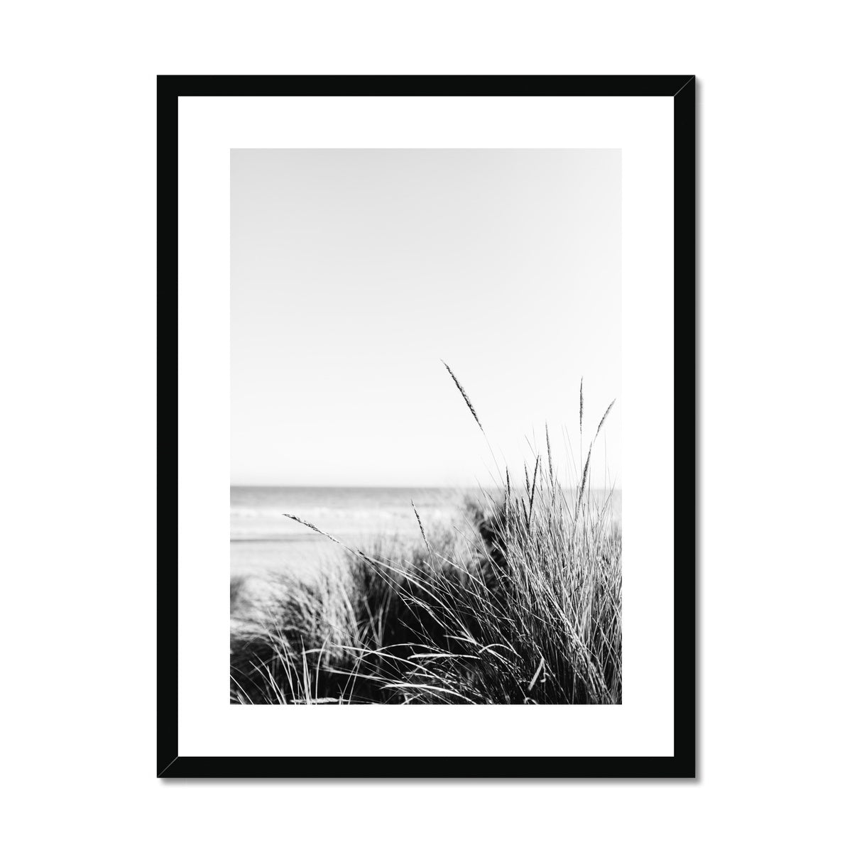 Sea Grass BW Framed & Mounted Print
