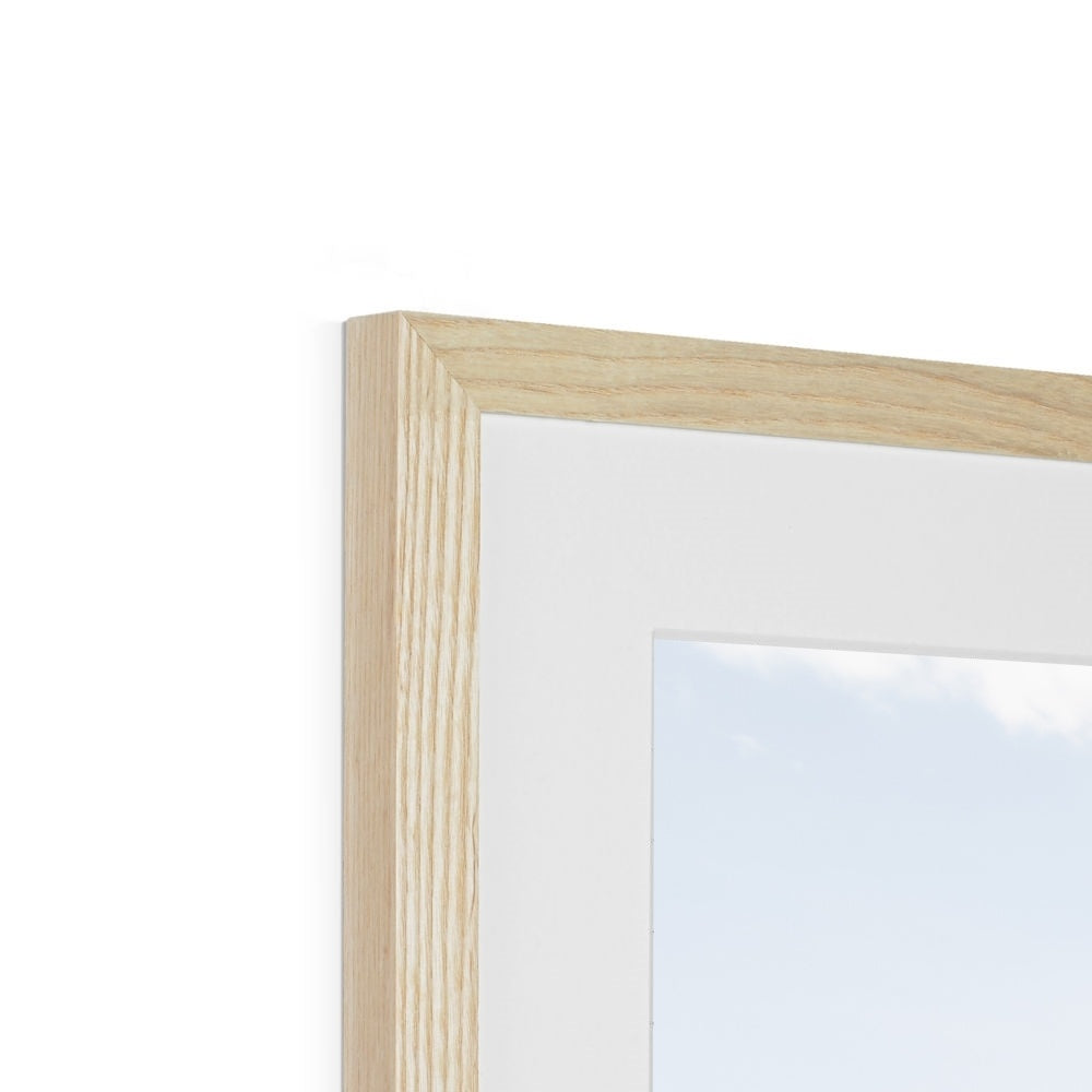 SAFARI PLANES Framed & Mounted Print