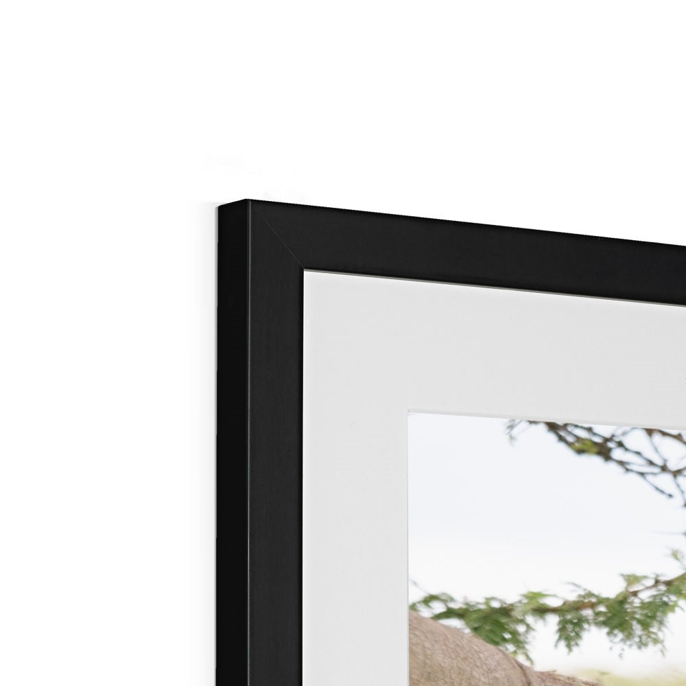 BABY ELEPHANT Framed & Mounted Print