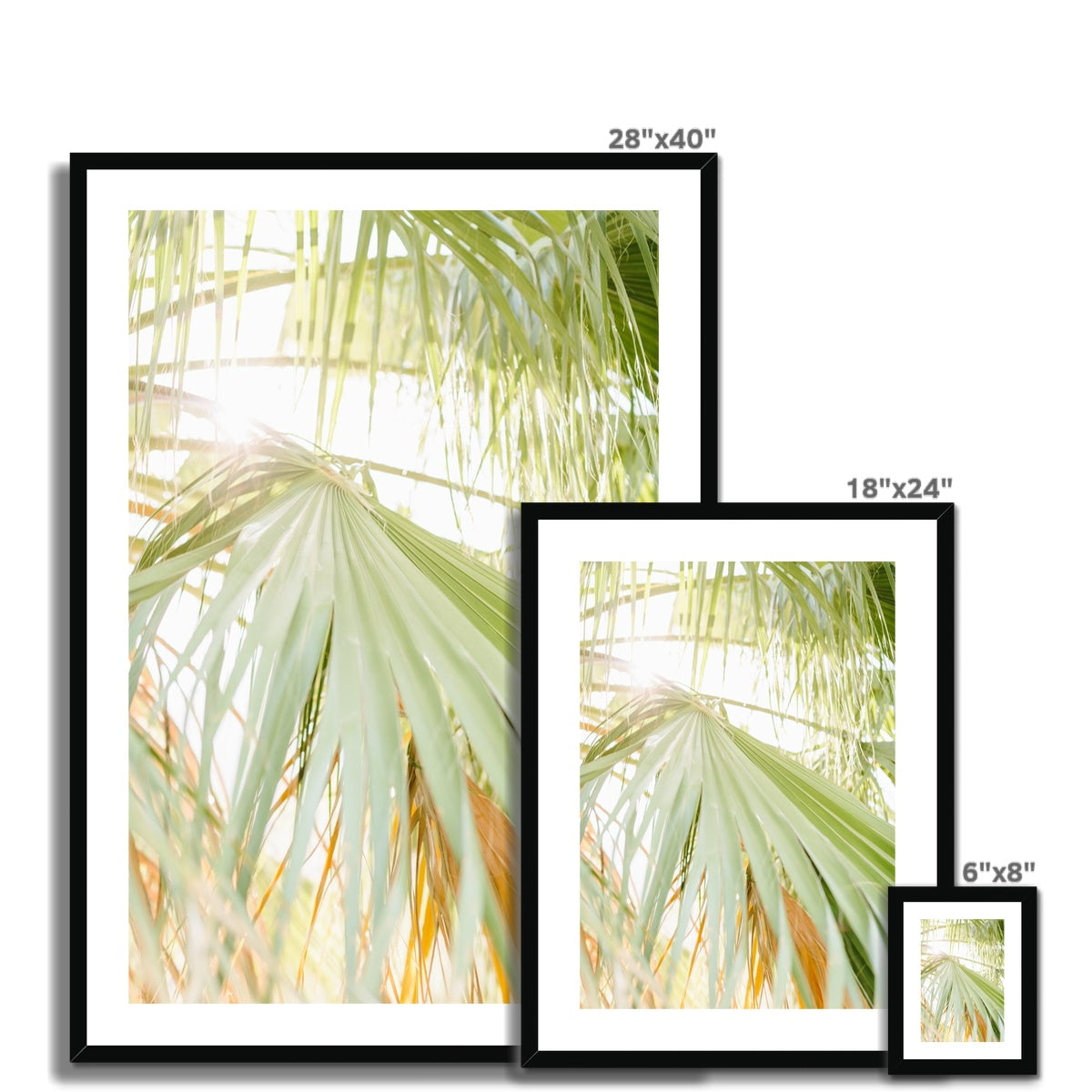 CALI PALMS Framed & Mounted Print
