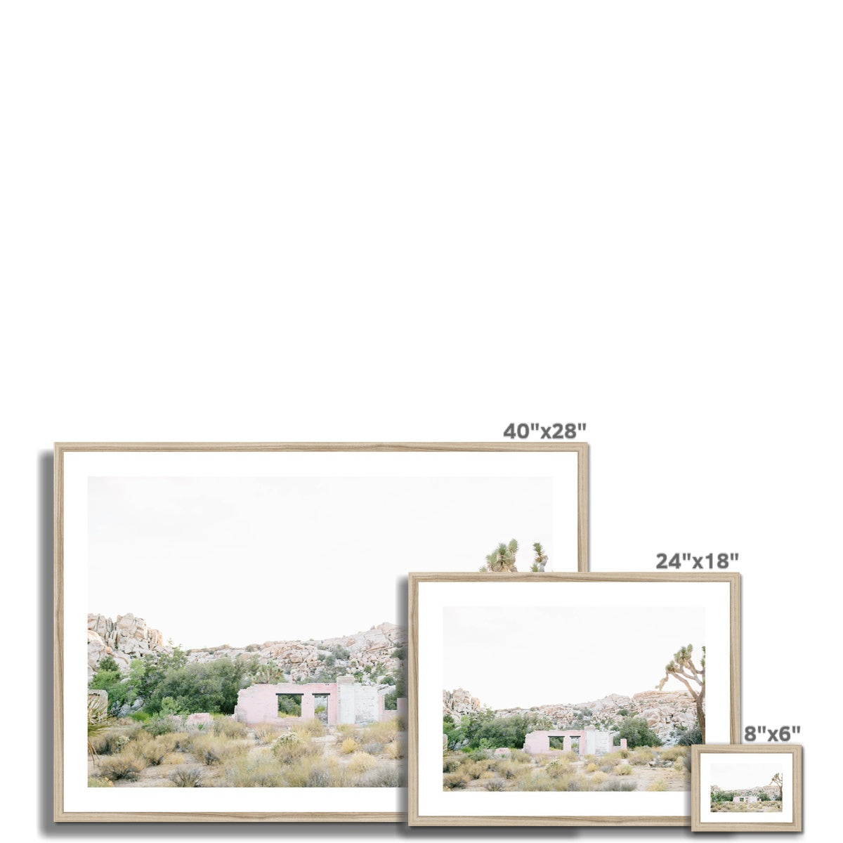 JOSHUA TREE RUINS Framed & Mounted Print