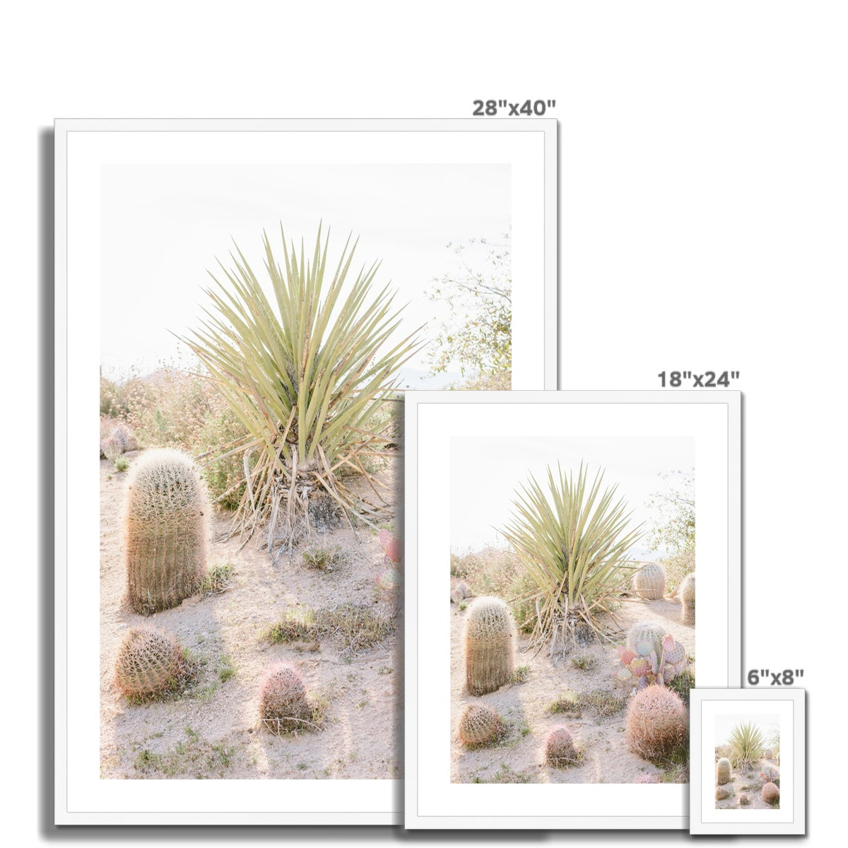 CACTUS III Framed & Mounted Print
