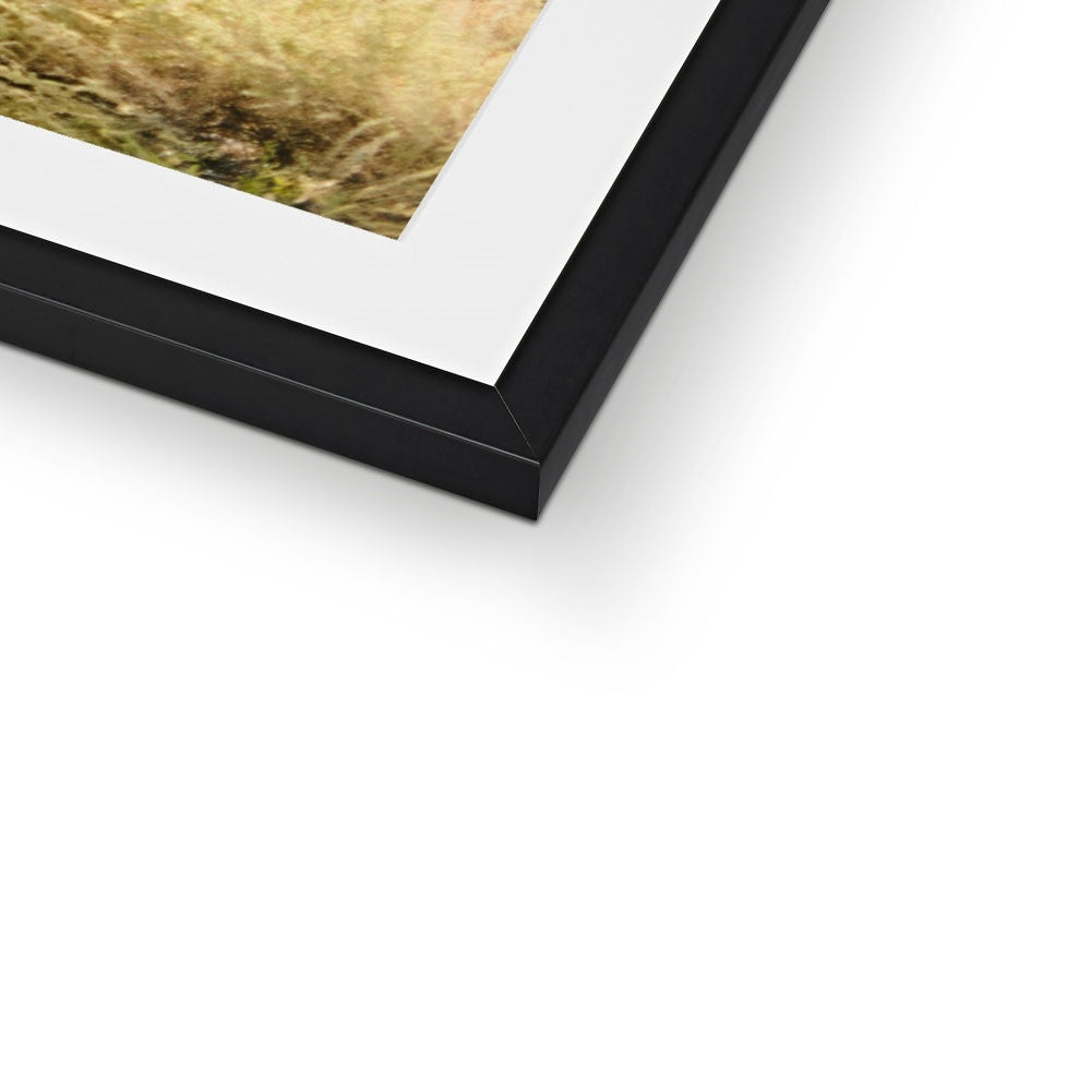 JOSHUA TREE ROAD Framed & Mounted Print