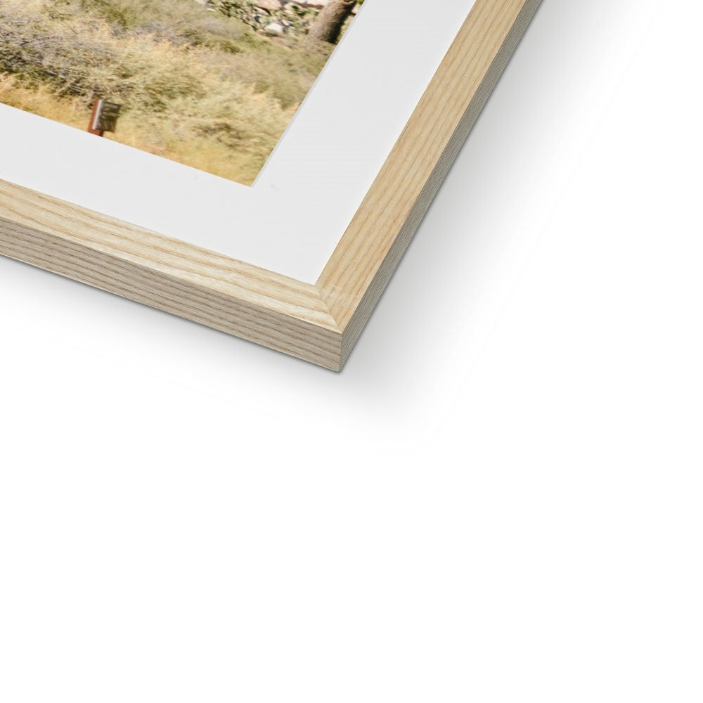 JOSHUA TREE IV Framed & Mounted Print