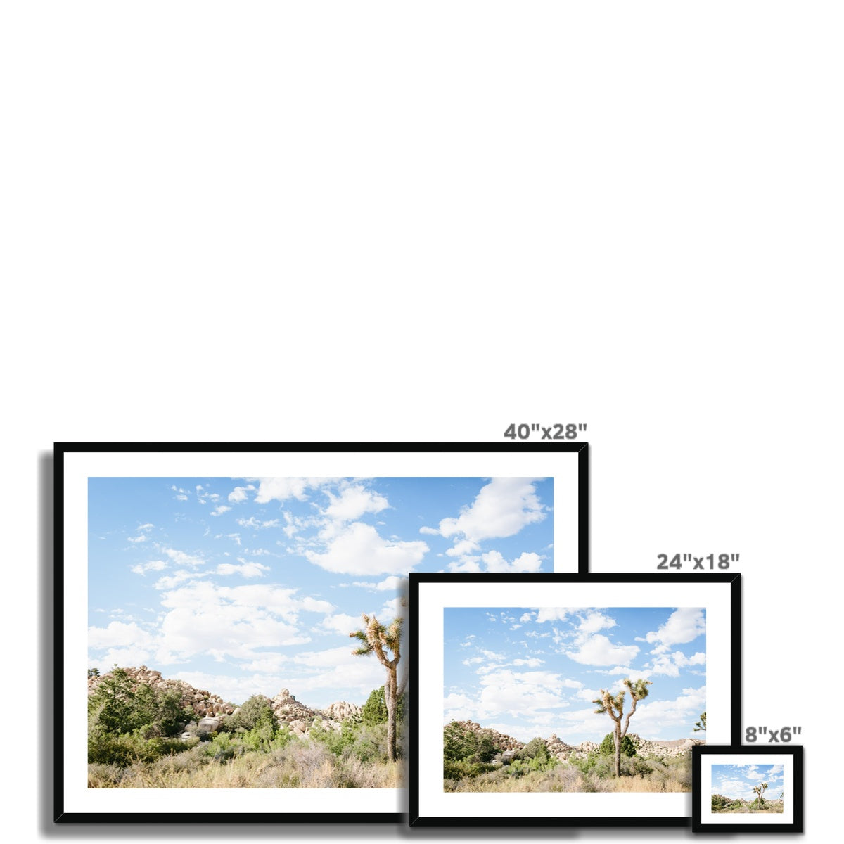 JOSHUA TREE IV Framed & Mounted Print