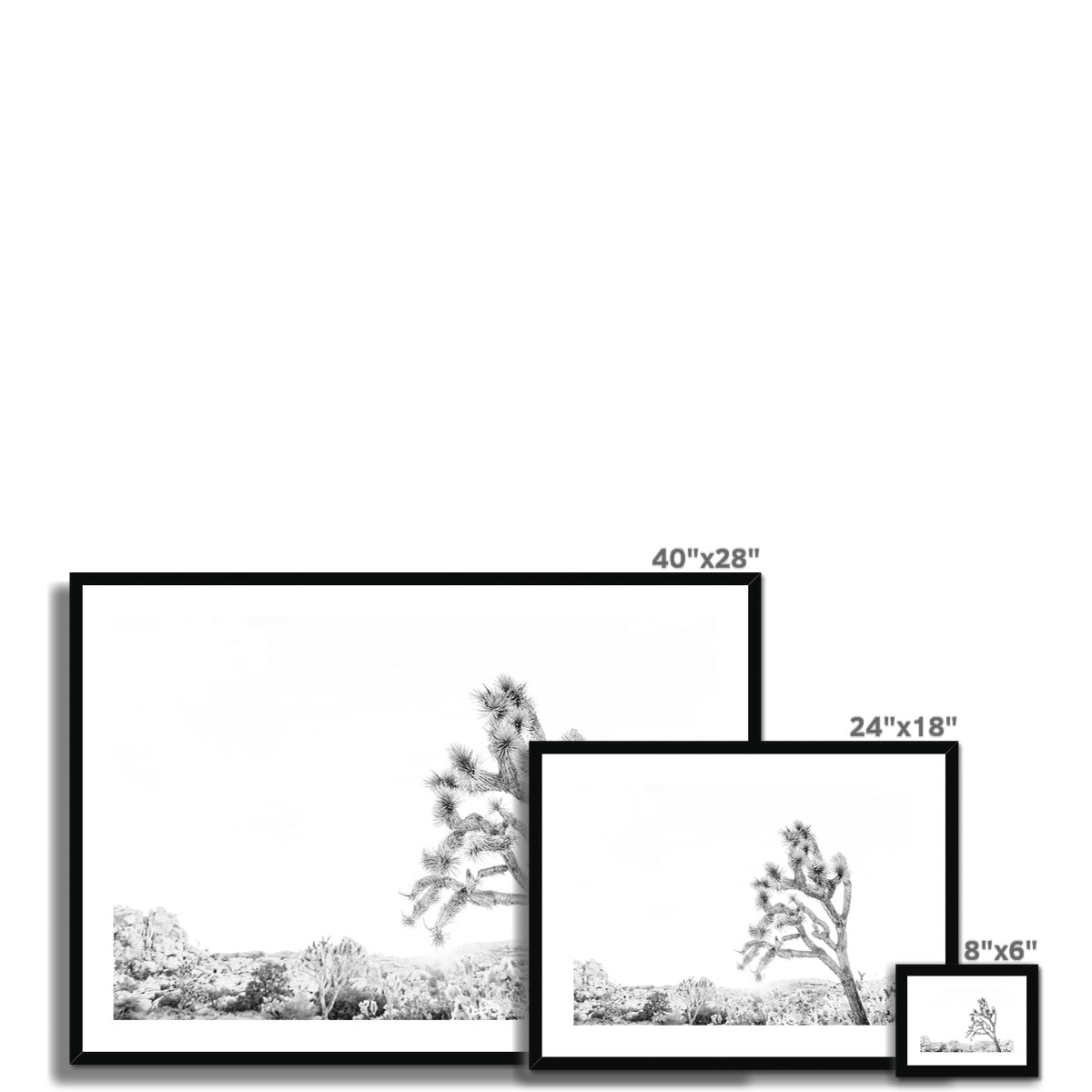 JOSHUA TREE V BW Framed & Mounted Print