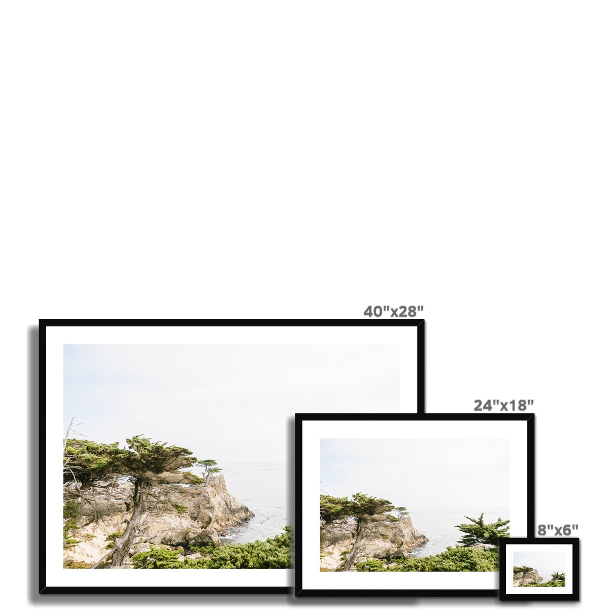 LONE CYPRESS TREE III Framed & Mounted Print