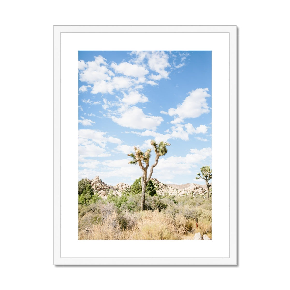 JOSHUA TREE III Framed & Mounted Print