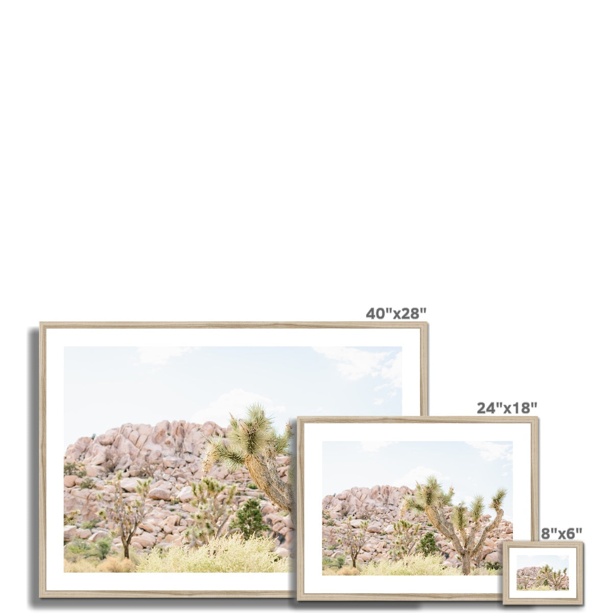 JOSHUA TREE VI Framed & Mounted Print