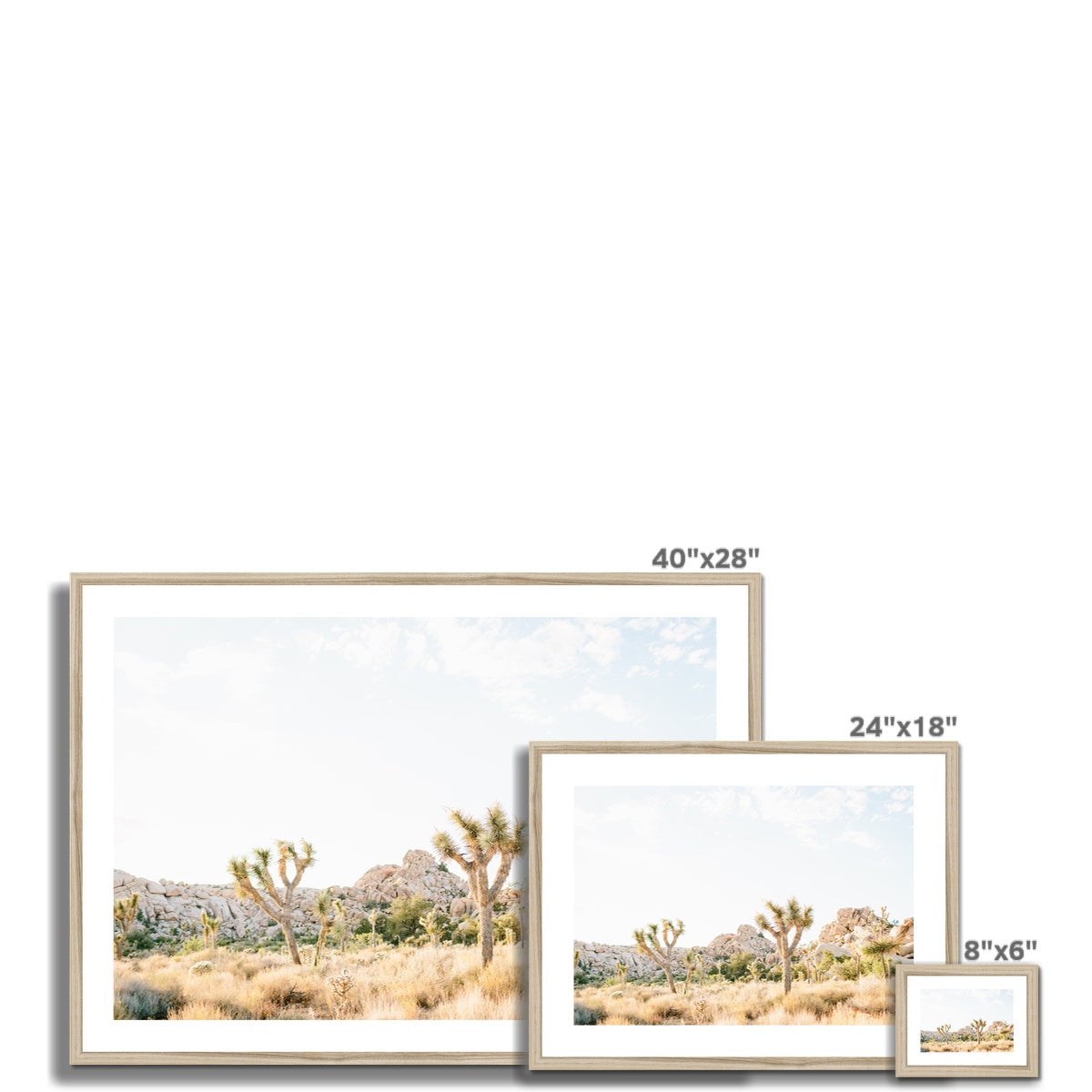JOSHUA TREE VIII Framed & Mounted Print