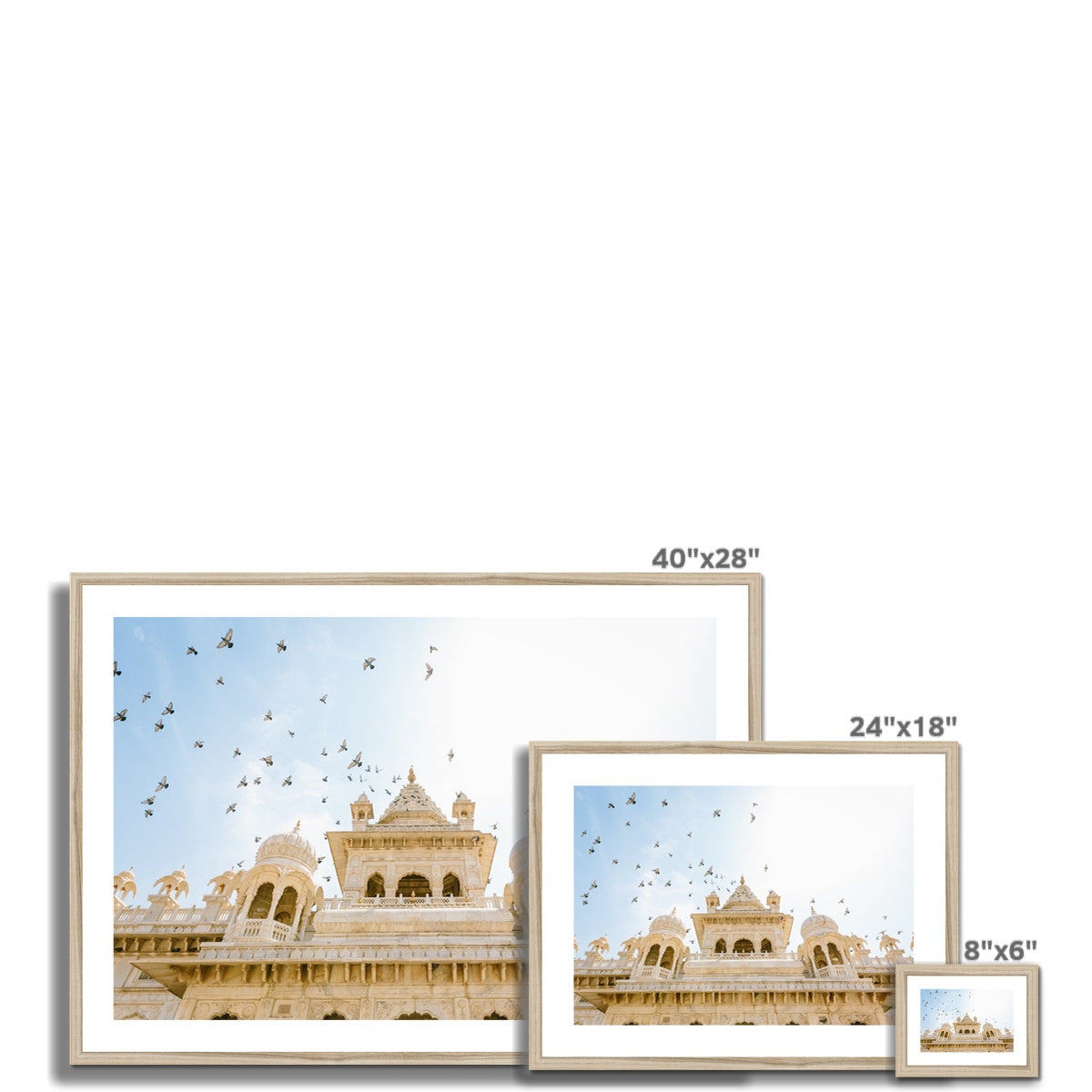 PALACE BIRDS Framed & Mounted Print