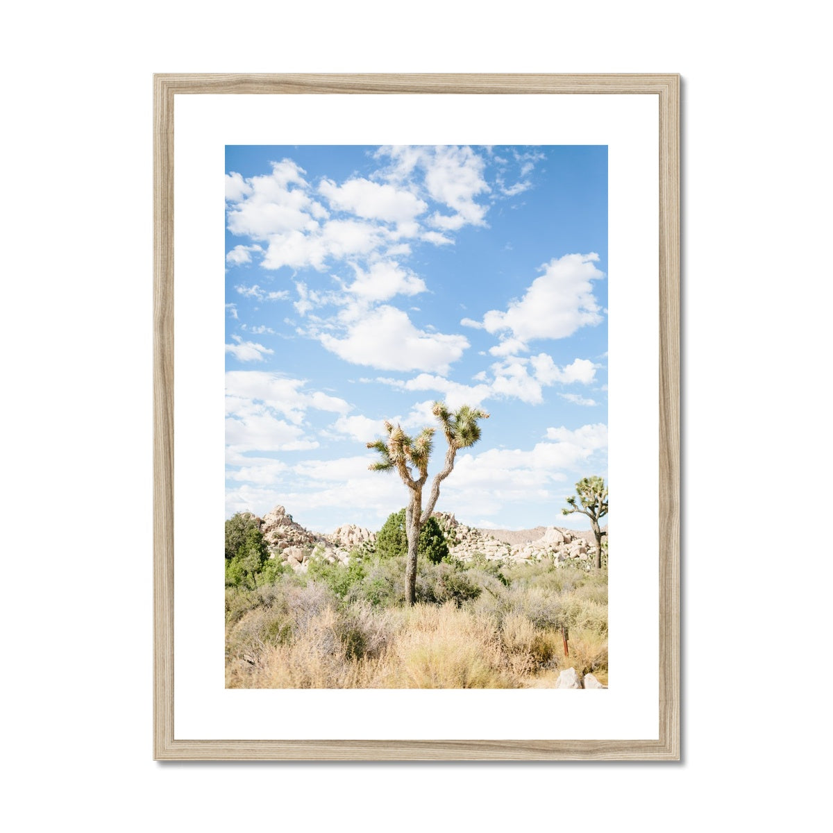 JOSHUA TREE III Framed & Mounted Print
