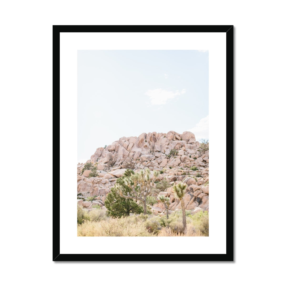 JOSHUA TREE VII Framed & Mounted Print
