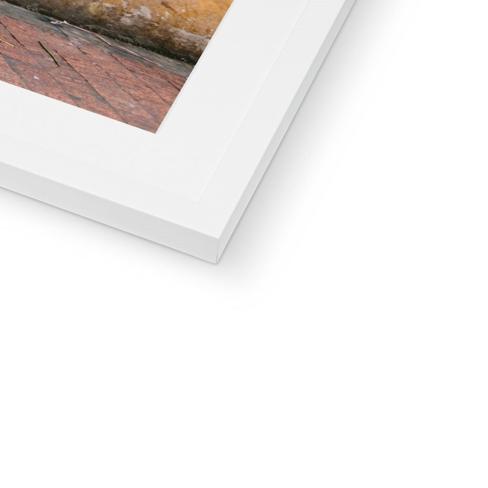 CARTAGENA FRUIT VENDOR IV Framed & Mounted Print