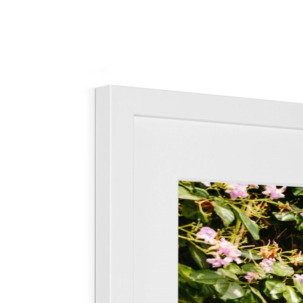 STREETS OF CARTAGENA Framed & Mounted Print