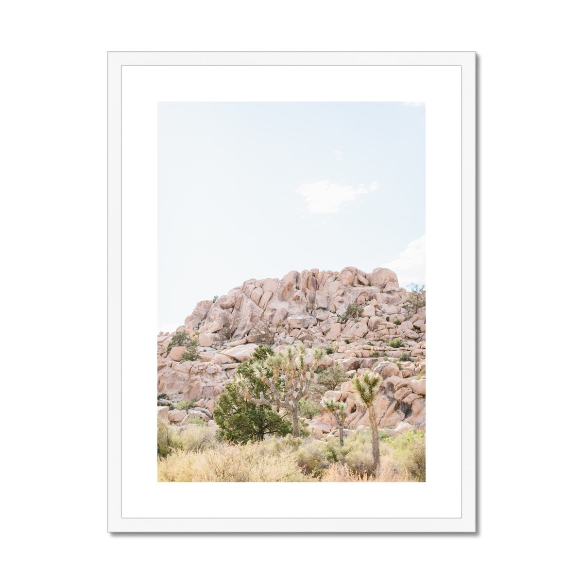 JOSHUA TREE VII Framed & Mounted Print