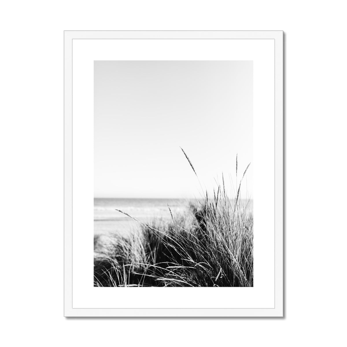 Sea Grass BW Framed & Mounted Print
