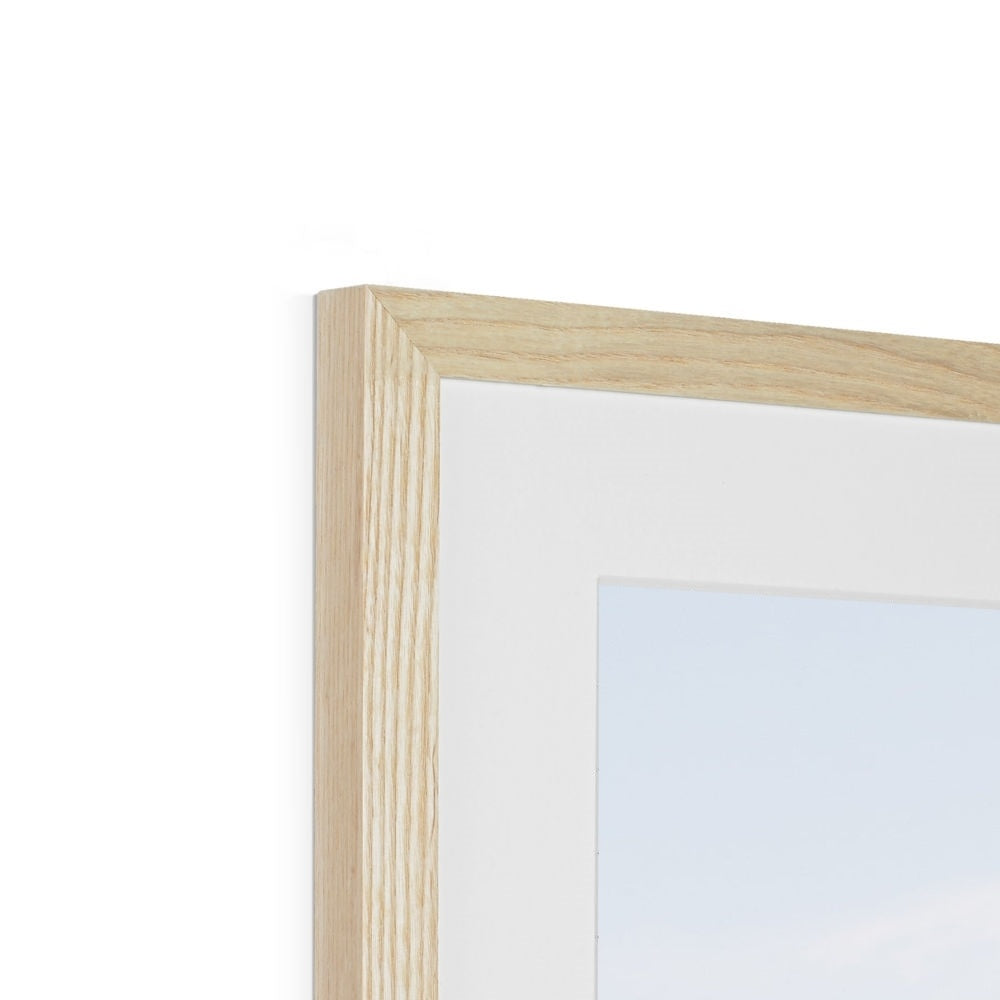TAJ MAHAL III Framed & Mounted Print