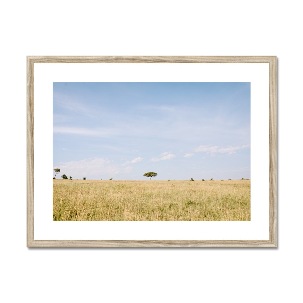 SAFARI LANDSCAPE Framed & Mounted Print