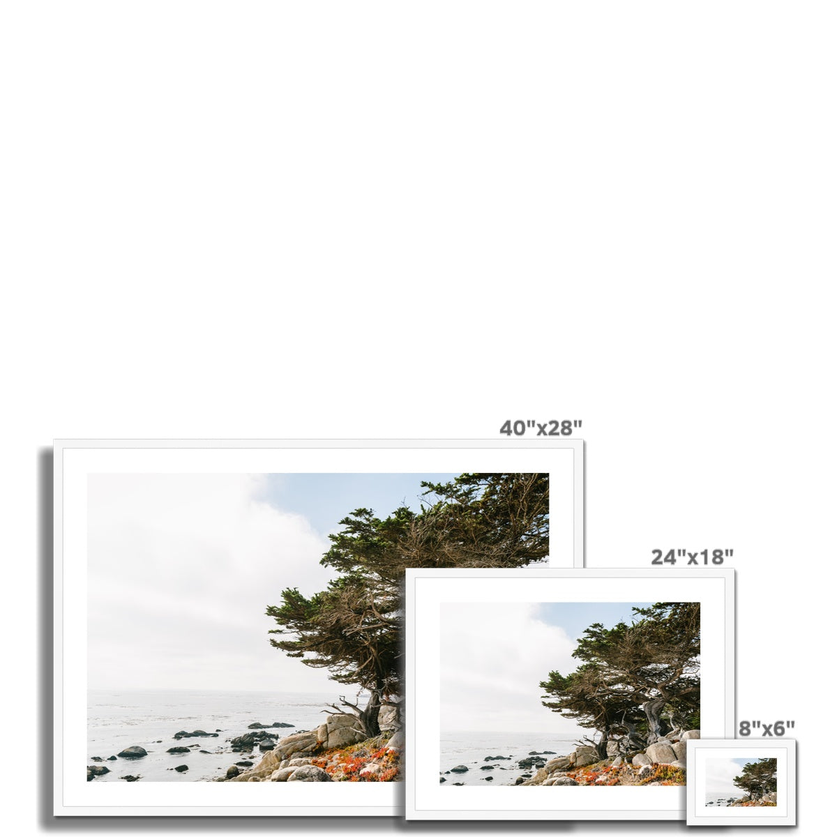 PEBBLE BEACH Framed & Mounted Print