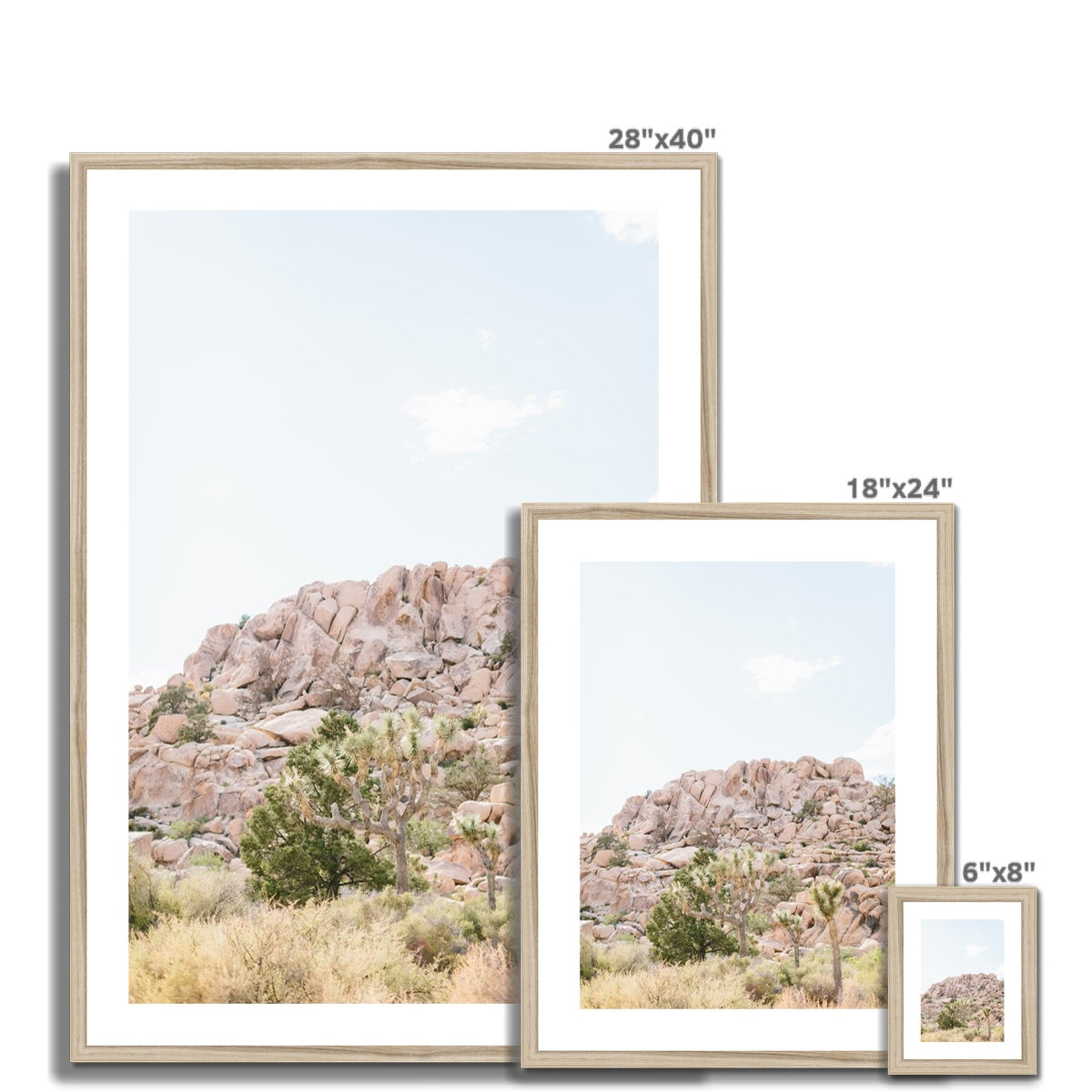 JOSHUA TREE VII Framed & Mounted Print