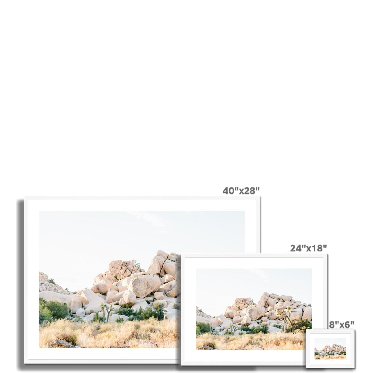 JOSHUA TREE X Framed & Mounted Print