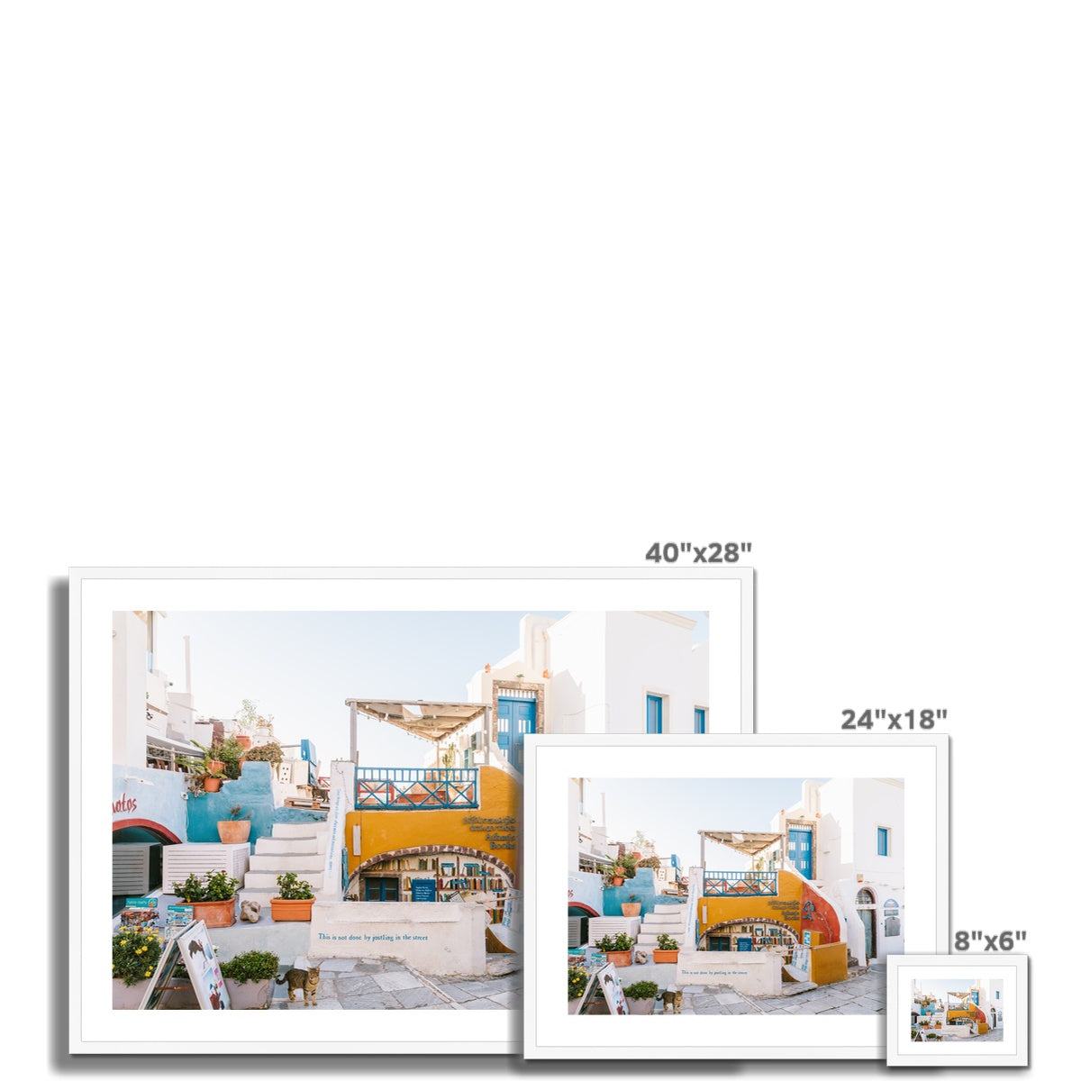 OIA BOOKSTORE Framed & Mounted Print