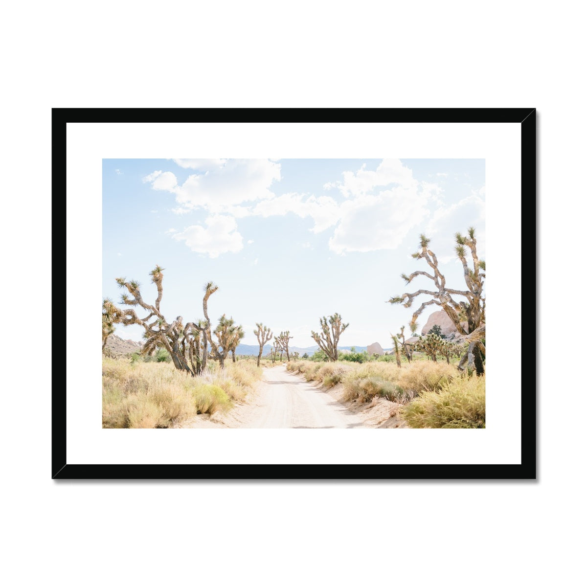 JOSHUA TREE ROAD Framed & Mounted Print