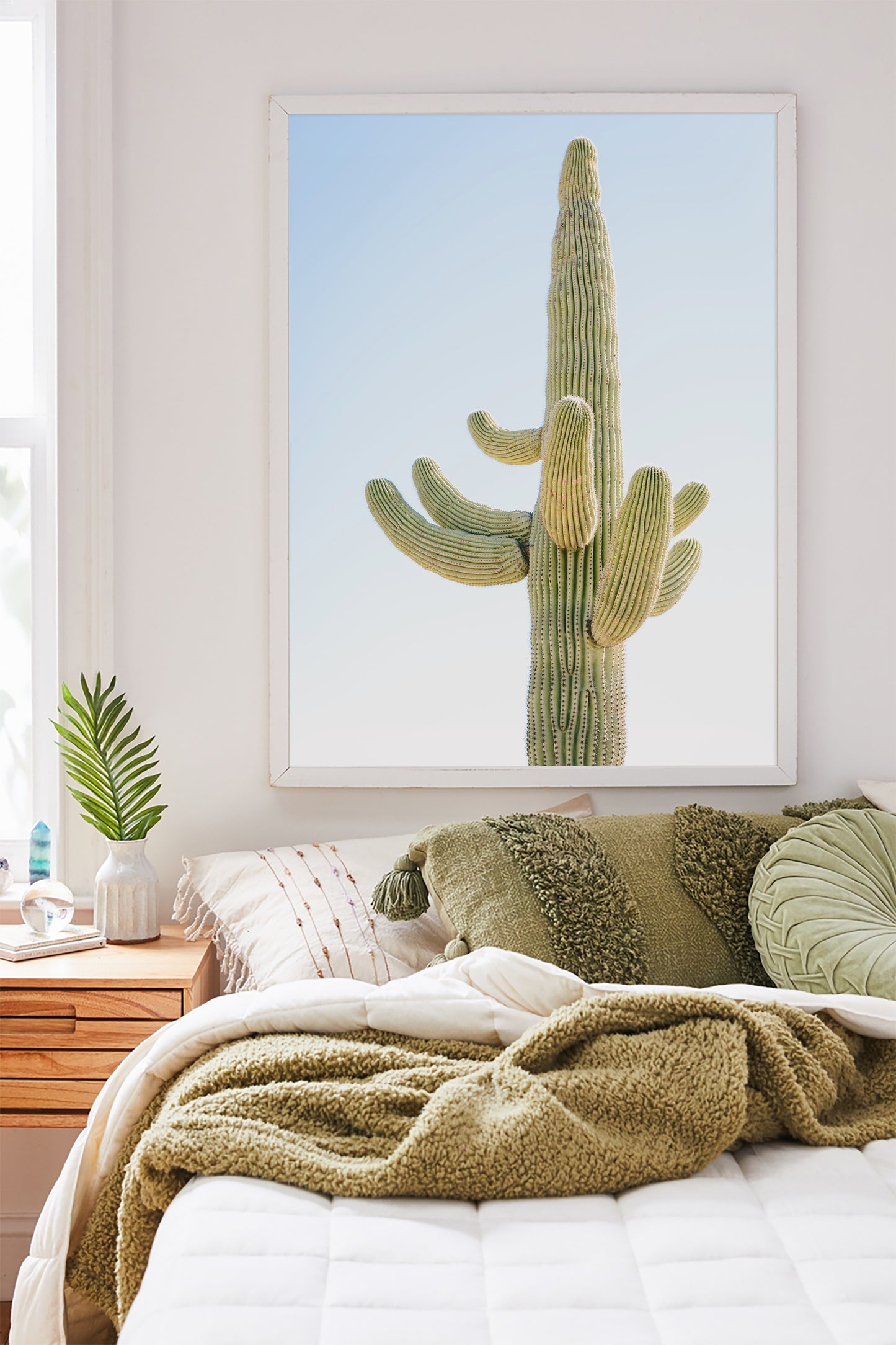 SAGUARO Framed & Mounted Print